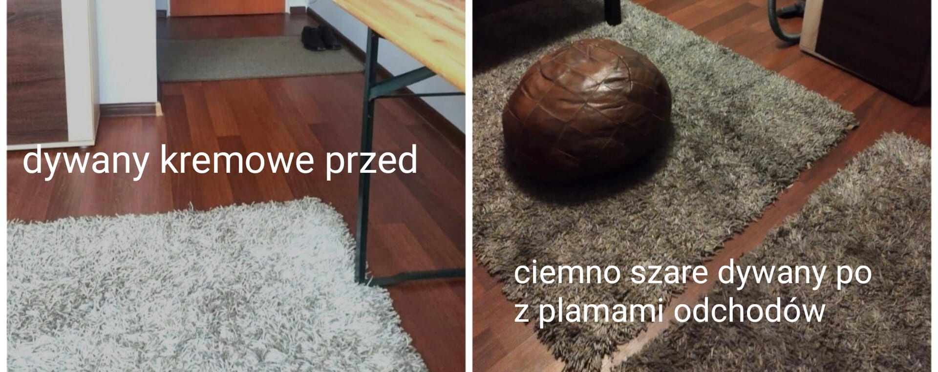 Stan mieszkania po jednym z najemców