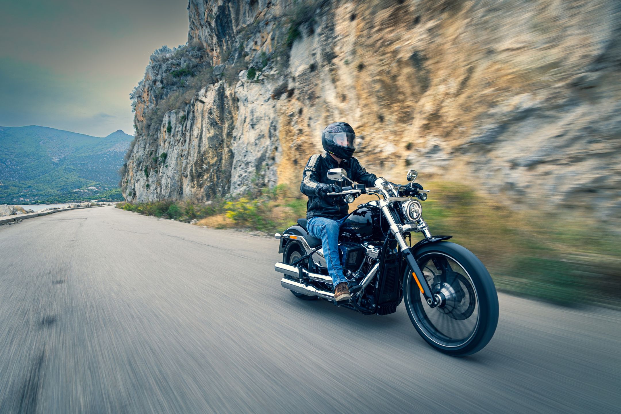 Harley-Davidson