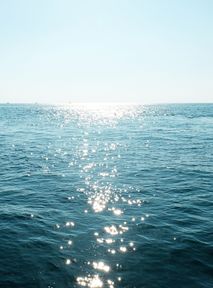 Climatologists are raising alarm signals. Ocean temperatures have reached a record average