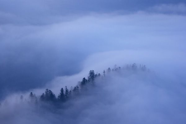Wystawy Wildlife Photographer of the Year 2011 od jutra w Polsce 3