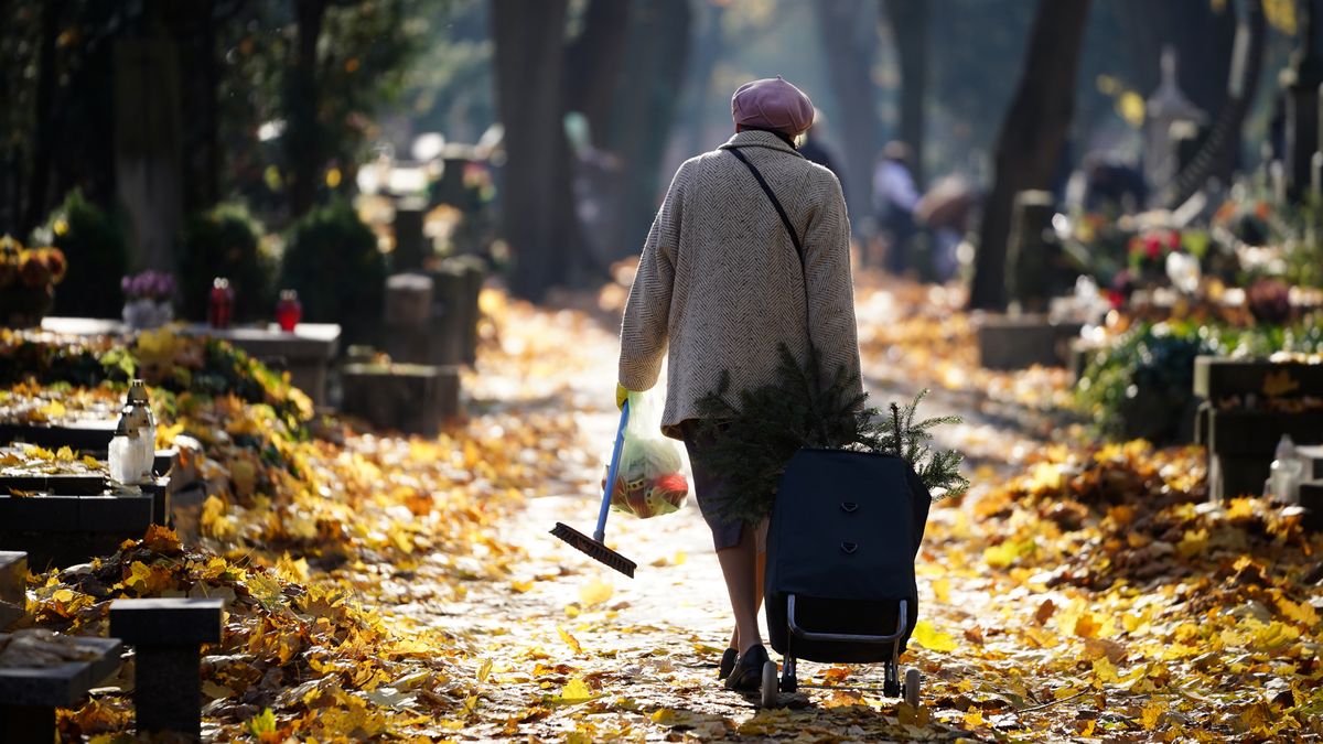 Polish Politics And More (archives 2016-2022)
Woman at the Powazki cemetery, preparing for the day of all saints in Warsaw, Poland on October 30, 2021 (Photo by Mateusz Wlodarczyk/NurPhoto via Getty Images)
NurPhoto
cmentarz powazkowski, polska, stare powazki, wszystkich swietych, cmentarz, cmentarze, dzien, na powazkach, na cmentarzu, nekropolia, przygotowania, sprzatanie, w warszawie, zaduszki, zakupy, swieto, swieto zmarlych, sprzata, porzadki, jesien, liscie, all souls' day, all saints' day, all hallows' day, feast of all saints, feast of all hallows, hallowmas, powazki cemetery, all saints, cemeteries, in powazki, at the cemetery, necropolis, in warsaw, all souls, cleaning up, leaves, warszawa, polish, illustrations
