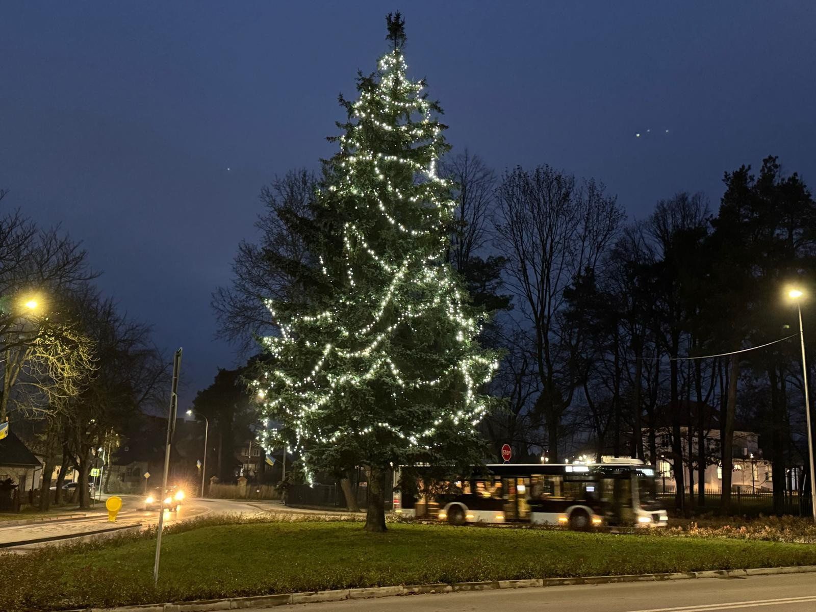 Przystrojona jest już choinka znajdująca się na skrzyżowaniu ulic Konstytucji 3 Maja i Harcerskiej.