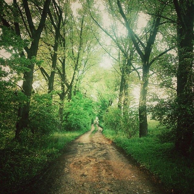 Zobaczcie jakie zdjęcia można zrobić smartfonem. Galeria nagrodzonych prac 19