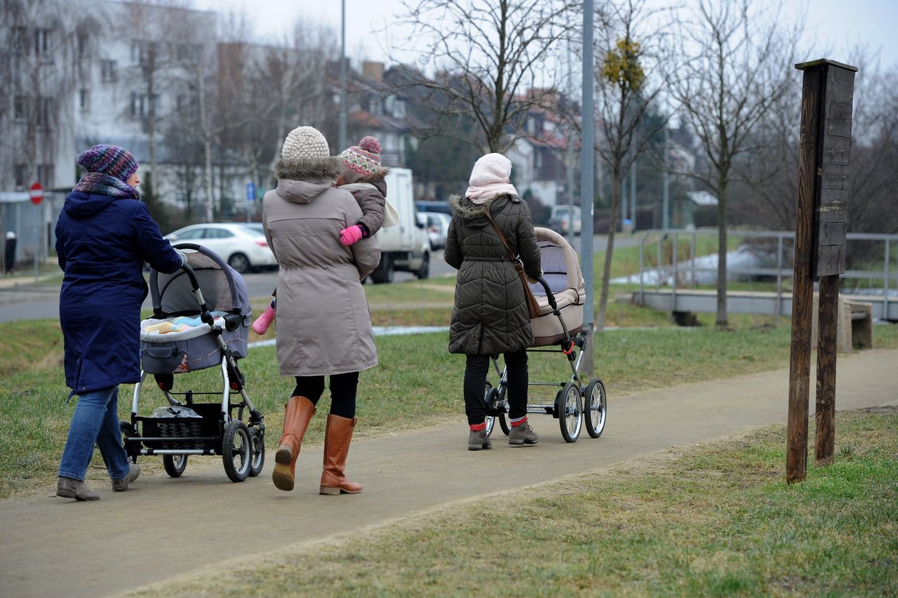 Wniosek o 500+. ZUS radzi: złóż do końca czerwca