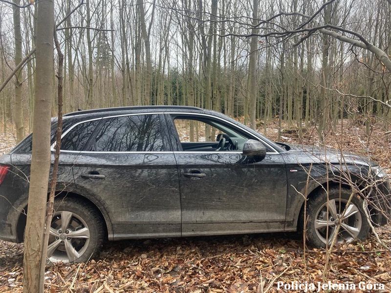 Turyście ukradziono luksusowe auto. Policja znalazła je w lesie