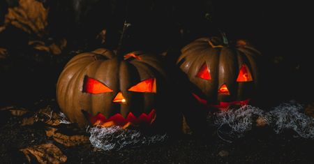 Halloween w Zacharzewie. Dzieci obrzuciły dom kamieniami