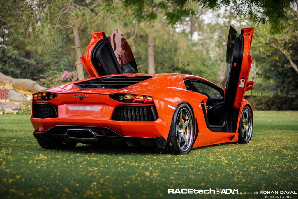 Lamborghini Aventador, felgi ADV.1 i słoń - niecodzienna sesja zdjęciowa [galeria] 15