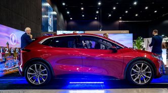 Izera zmienia strategię. Poszuka partnera, ale nie w Chinach