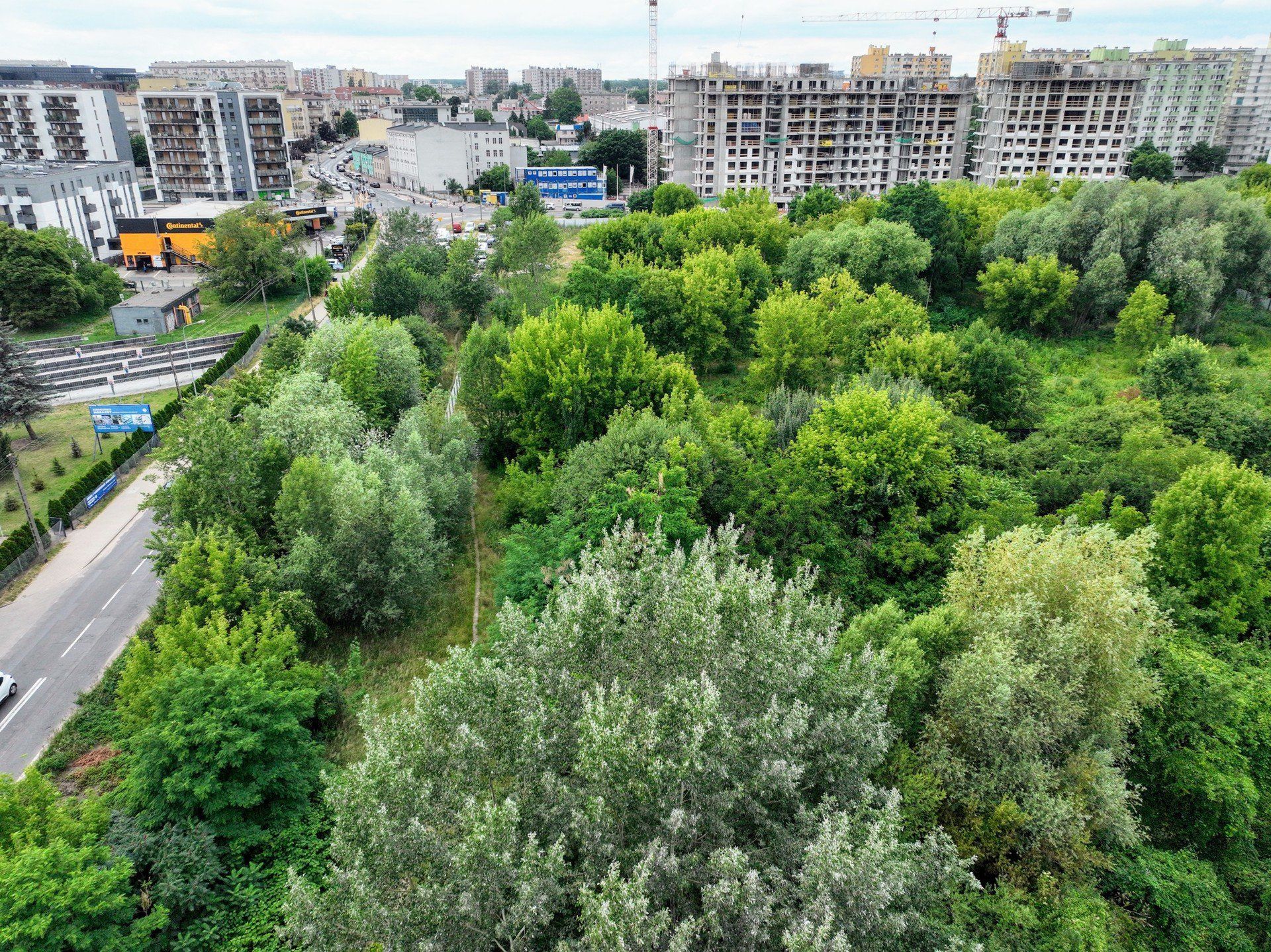 Na łazarzu powstanie nowy park? Tego chcą społecznicy i mieszkańcy.