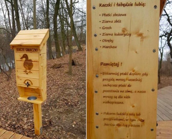 Wrocław. Koło kaczkomatu umieszczona jest często instrukcja, czym karmić wodne ptaki. Nie wolno im dawać chleba, bo to im szkodzi