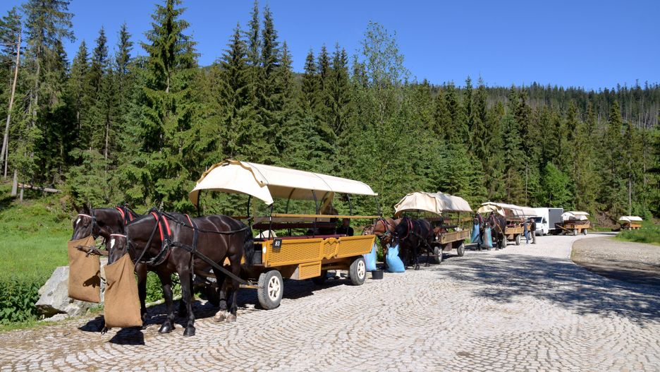 Zaprzęgi konne w drodze na Morskie Oko