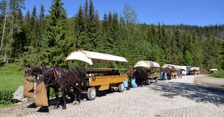 Nowe przepisy uderzą w polskich górali. Przestaną wozić turystów nad Morskie Oko?