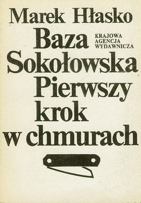 Obraz