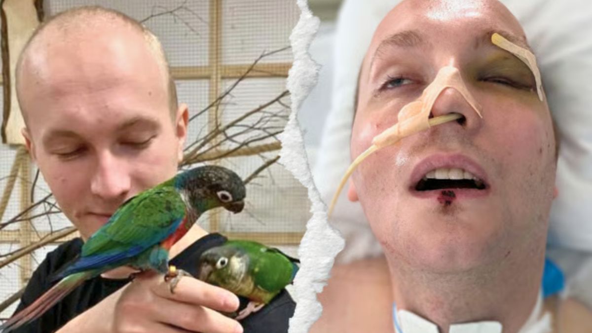 Wypadek żołnierza Wojska Polskiego.