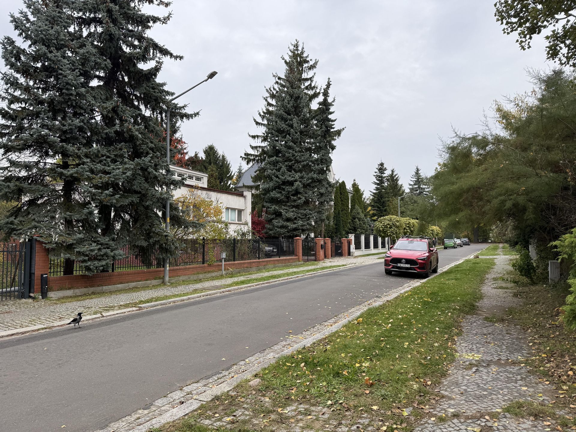 Ulica, na której znajduje się dom rodziny Alexewiczów