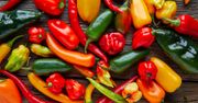 Habanero – jak jeść ostrą paprykę