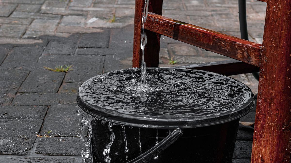 Poznań znów będzie dofinansowywać zbieranie i ponowne wykorzystanie deszczówki