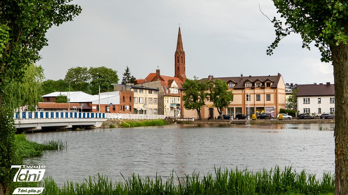 Wyrzysk, staw