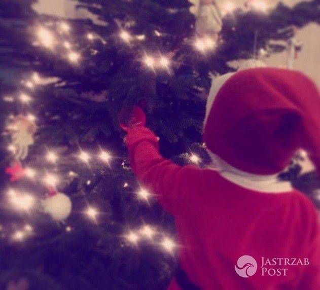 Anna Czartoryska-Niemczycka Boże Narodzenie 2016