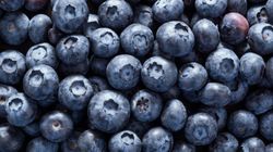 Borówki amerykańskie - jesz je dla smaku, a one działają tam, gdzie wszystko inne zawodzi