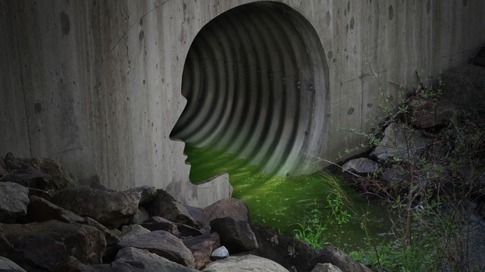 6 najważniejszych zasad skutecznego detoksu