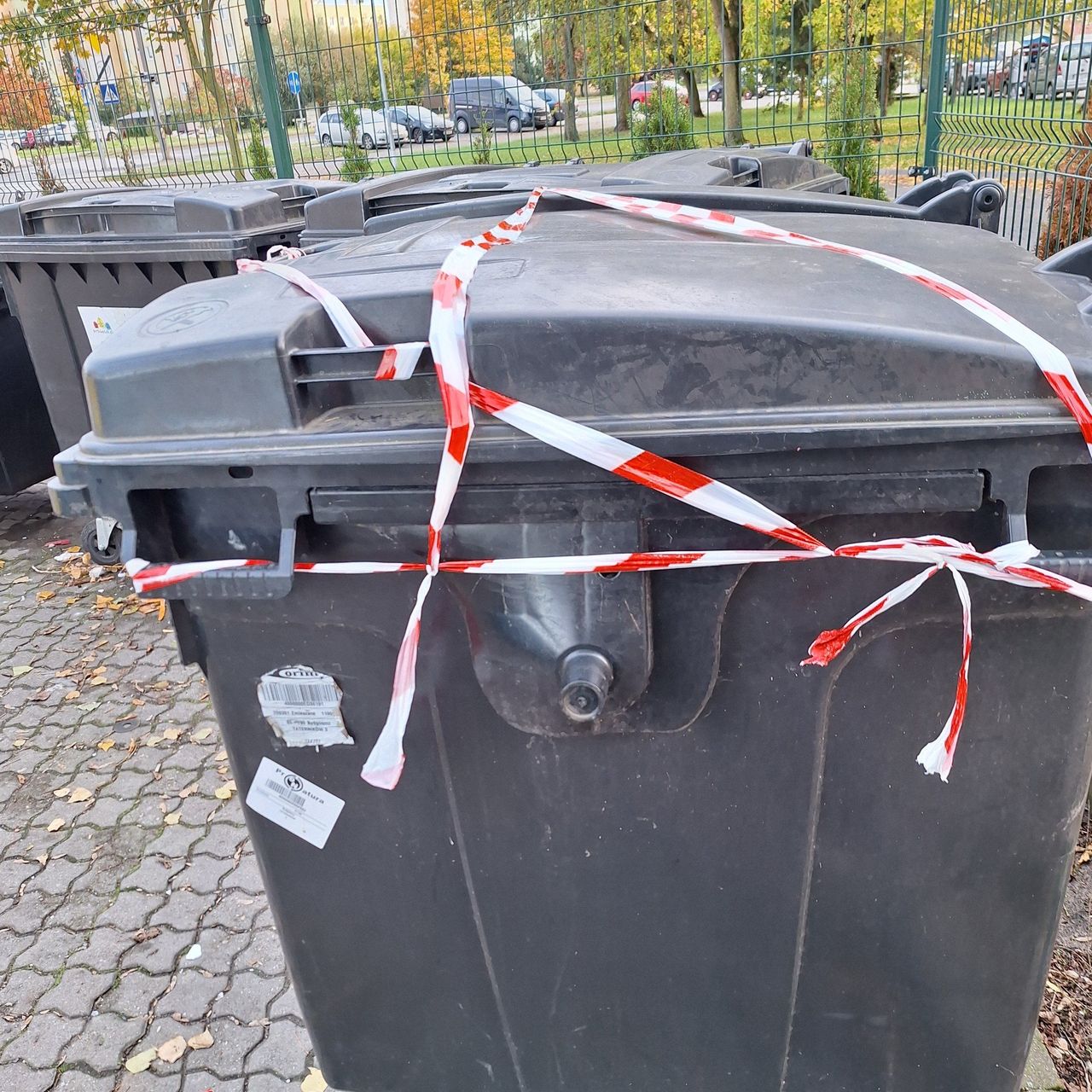 Bydgoszcz: W śmietniku na Osiedlu Tatrzańskim w Fordonie znaleziono martwą sarnę