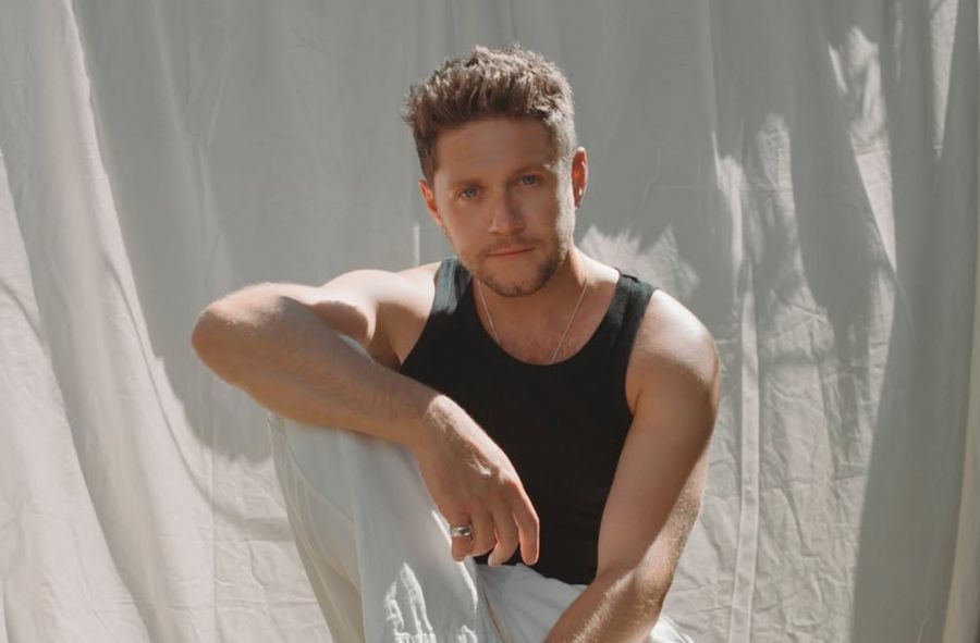 Niall Horan stworzył album dla aesthetic girls i romantic guys. 