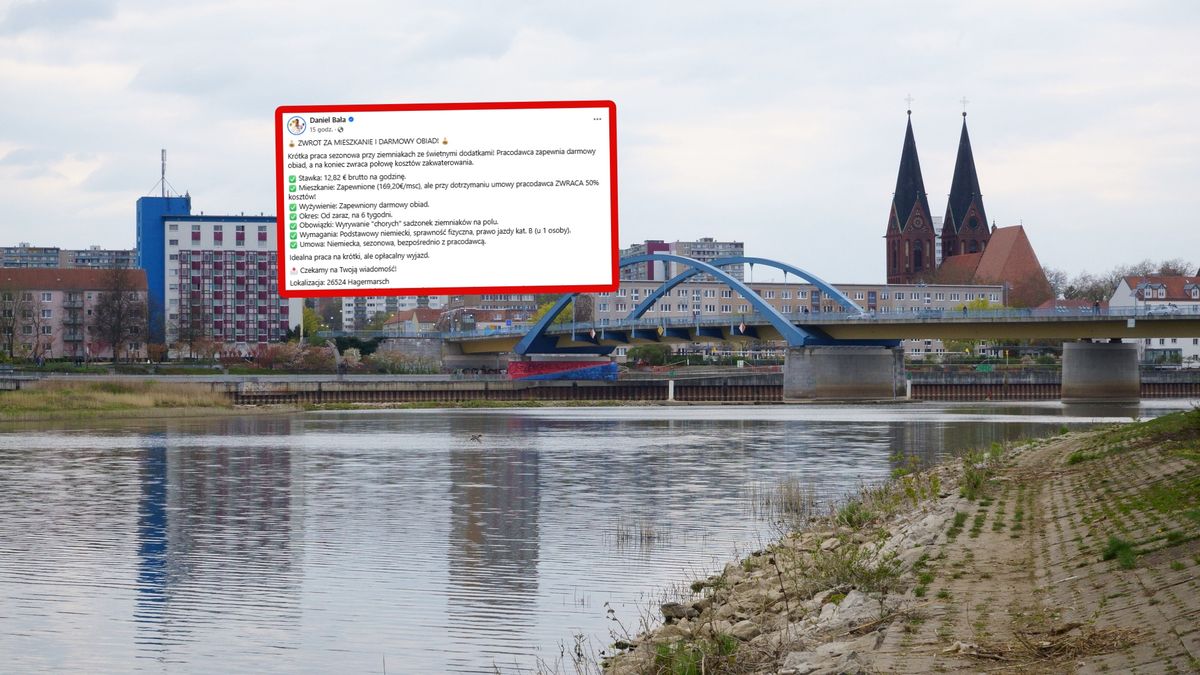 Oferta pracy z Niemiec.