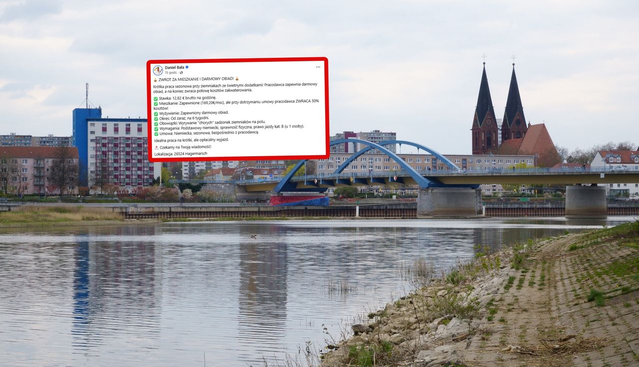 Niemcy kuszą Polaków. Zwrot za mieszkanie i darmowy obiad