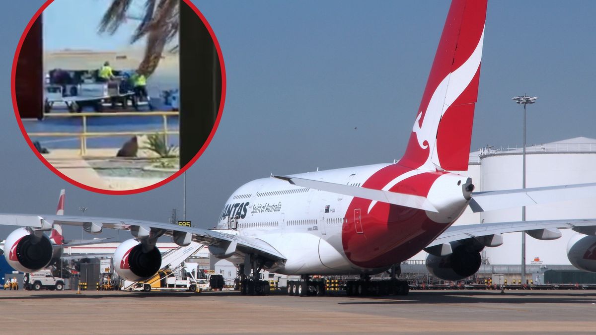 Pokazali, jak obsługa samolotów postępuje z bagażami podróżnych 