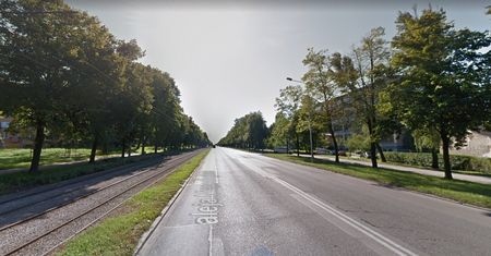 Częstochowa. Wielka wycinka przy alei Niepodległości. Mieszkańcy oburzeni