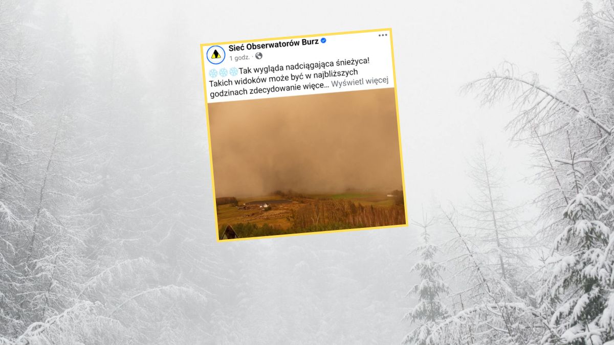 Tak wygląda nadciągająca śnieżyca