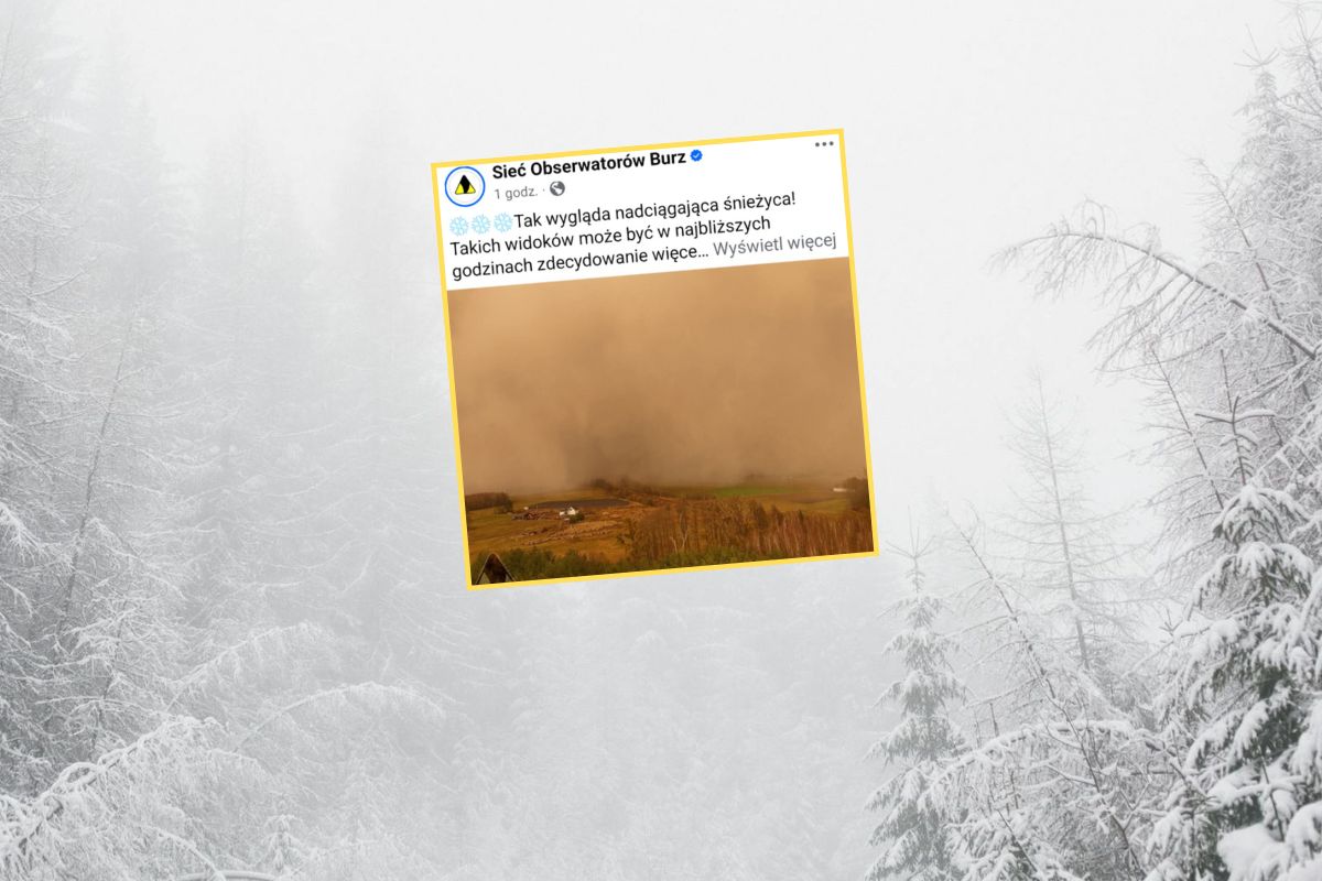 Pokazali zdjęcie z Podlasia. "Tak wygląda nadciągająca śnieżyca"