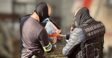 Słupsk: Nalot straży granicznej. Ponad 2 kg narkotyków w mieszkaniu