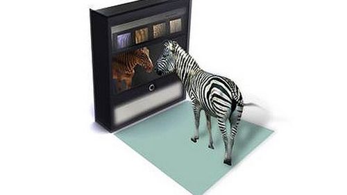 Lustro z rzeczywistością poszerzoną 1