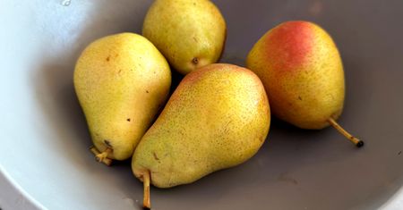 Jedz codziennie, póki trwa sezon. Wymiatają z jelit złogi jak szczoteczka, pomagają obniżyć cholesterol