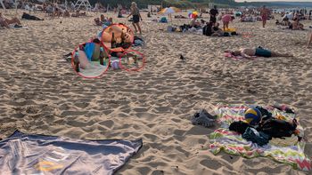 Plaga na polskich plażach. "Byłam przerażona"