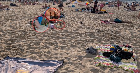 Plaga na polskich plażach. "Byłam przerażona"