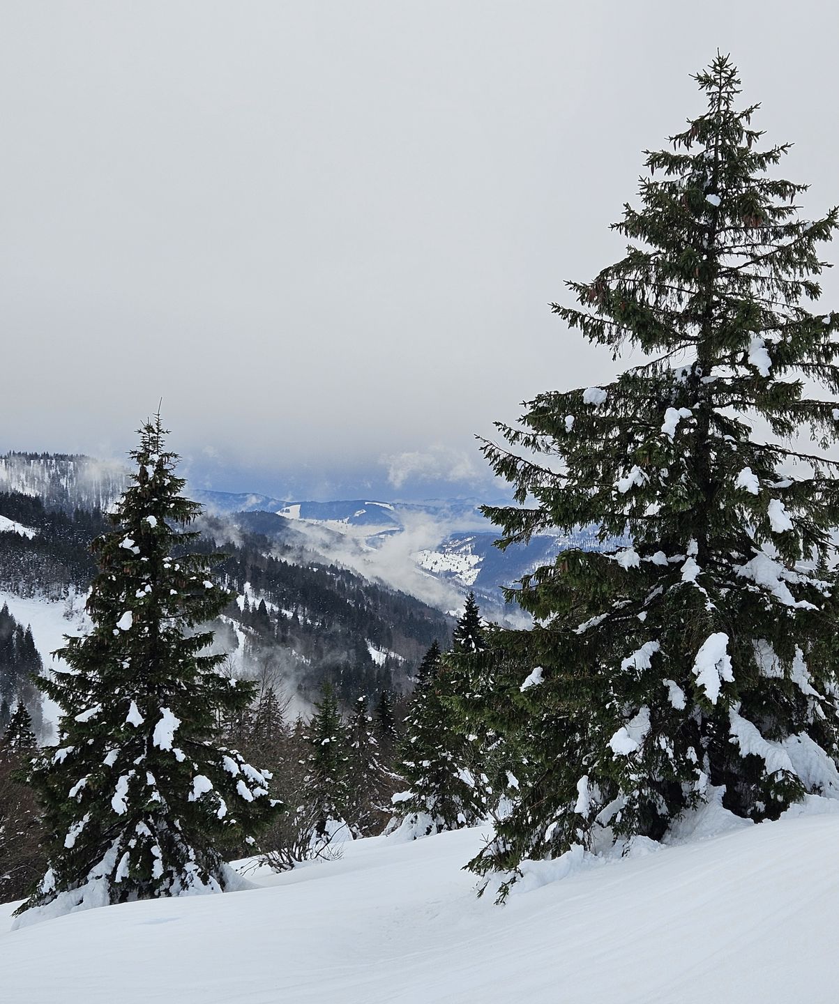 Widoki ze szlaku na szczyt Feldberg