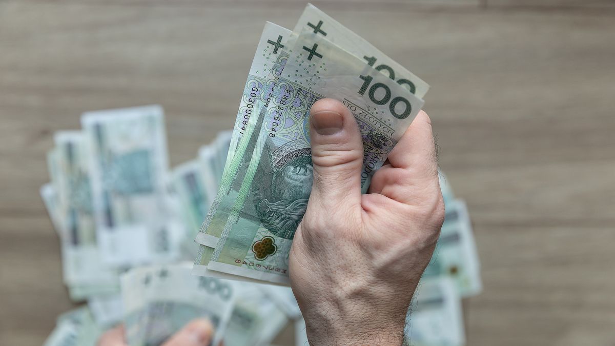 pln, banknoty, gotówka, finanse, ekonomia, waluta, polska waluta, inwestycje, budżet, bank, transakcja, bogactwo, finanse osobiste, banknoty rozrzucone, stos banknotów, gospodarka, dochód