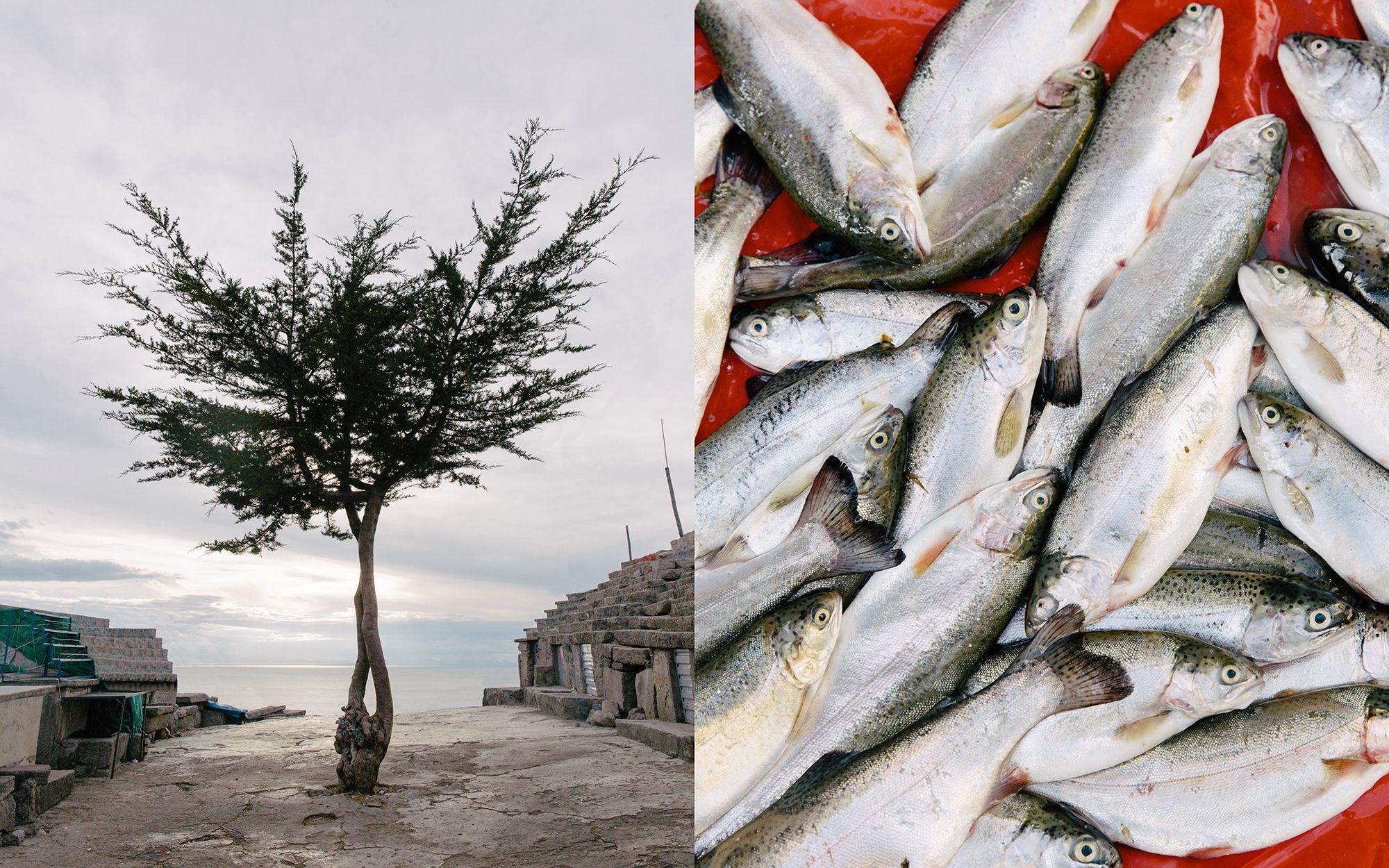 Boliwia, Argentyna i Peru - fotograficzna zima Kevina Faingnaerta 8