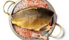 Kaufland nie sprzedaje już żywego karpia