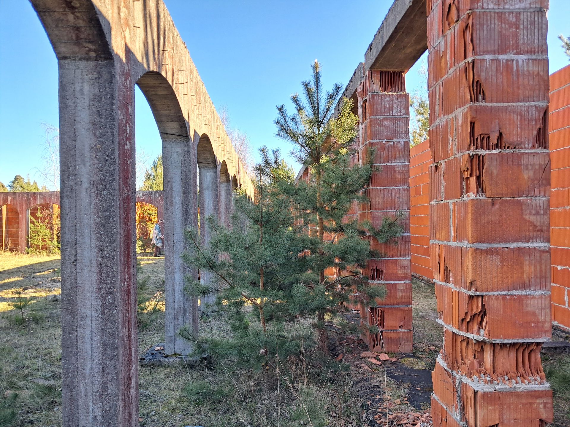Natura i grafficiarze nieustannie zmieniają obraz tego miejsca