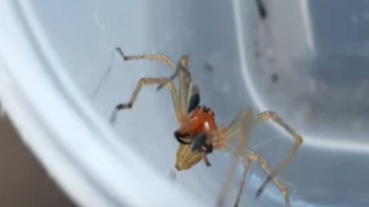 Zdjęcie ilustracyjne