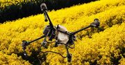 Nowe przepisy. Opryski dronami na polach bez ostrzegania