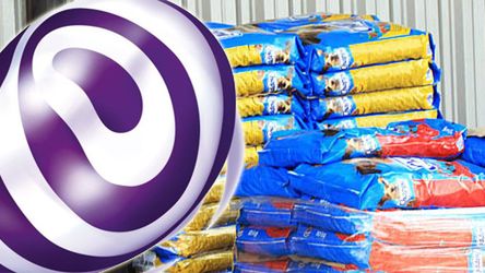 Play - relacja z akcji pomocy zwierzętom 1