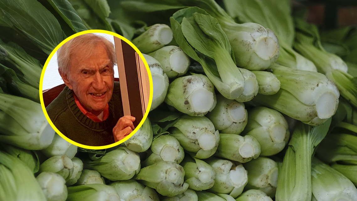 Chroni przed rakiem, hamuje rozwój stanu zapalnego i wspiera serce