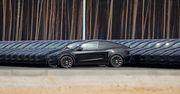 Tesla kontra pracownicy. W tle powiększenie fabryki pod Berlinem