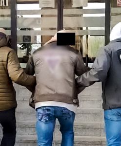 Wyprali ćwierć miliarda złotych. Pięciu członków gangu wpadło w ręce policji