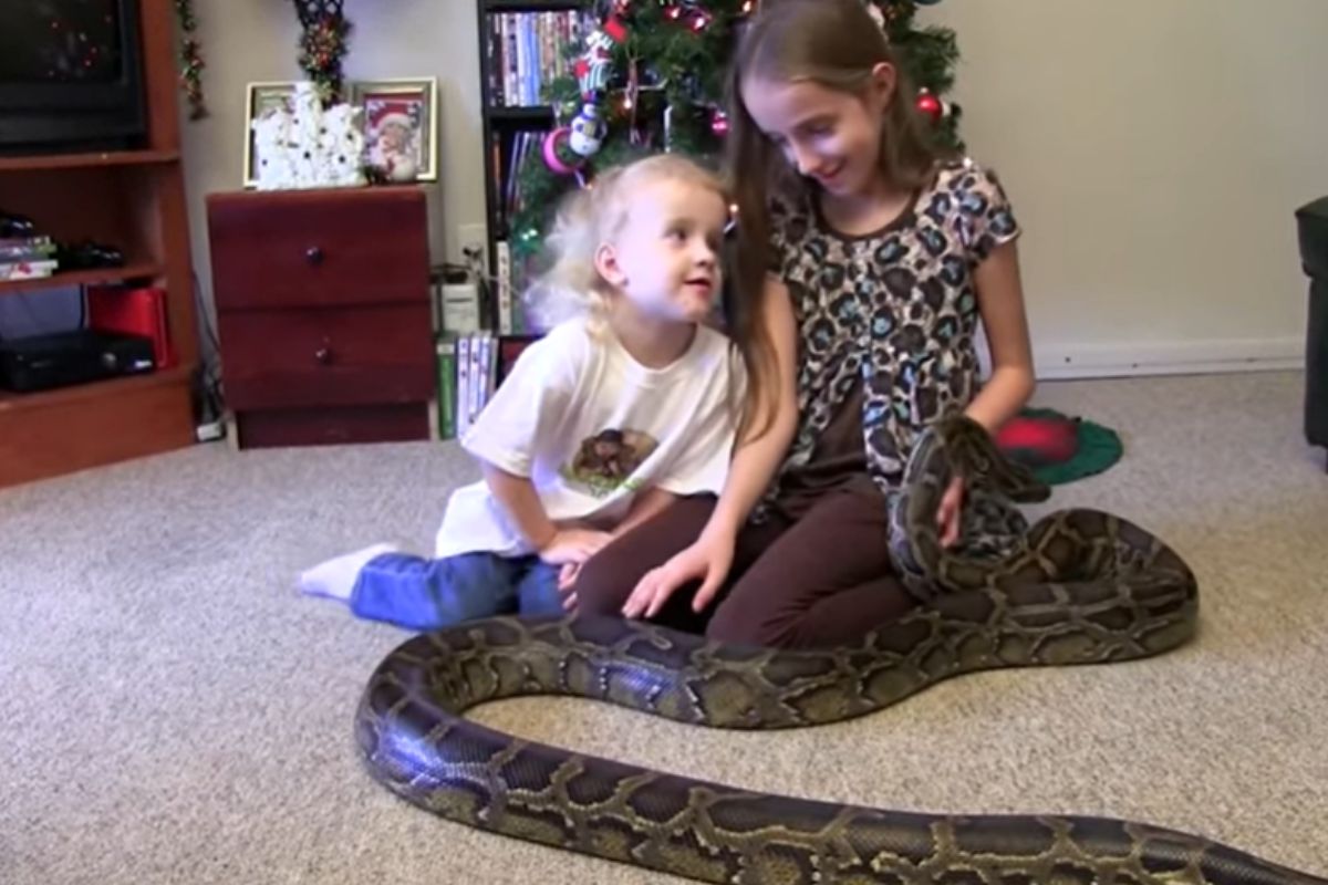 Ojciec dzieli się swoją pasją z córkami